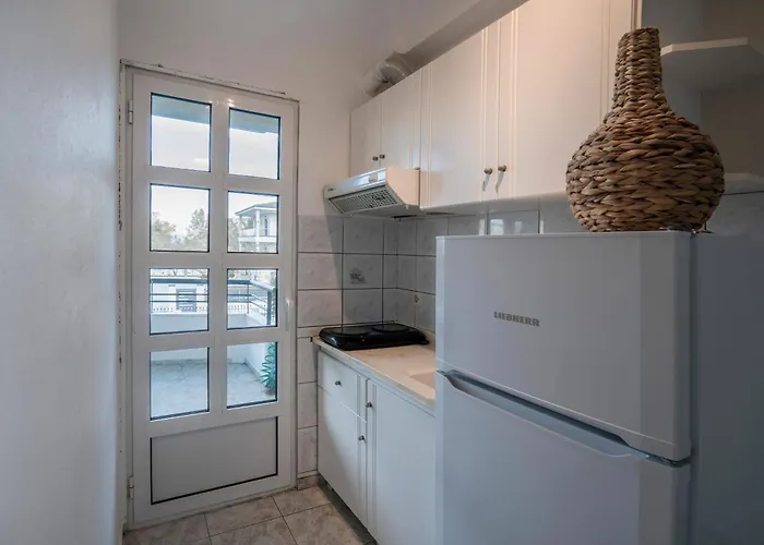 Dionisos 佩科霍里